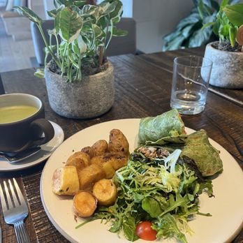 Terrene - Healthy egg wrap ( vegetarian) - Cocktail Bars Near Me - San Francisco, California Terrene - Healthy egg wrap ( vegetarian) - Cocktail Bars Near Me - San Francisco, California