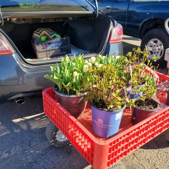 Kent East Hill Nursery - Nurseries & Gardening Near Me - Kent, Washington