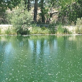 Fallon Dog Park - Dog Parks Near Me - Fallon, Nevada Fallon Dog Park - Dog Parks Near Me - Fallon, Nevada
