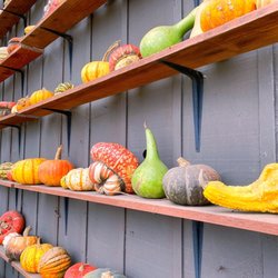 Borchard Farms