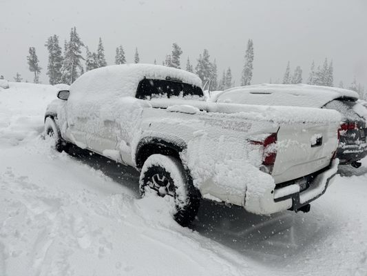 Mt. Shasta Ski Park by null