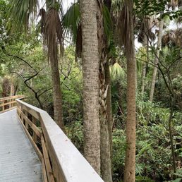 Walking trail. Walking trail.