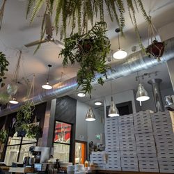 555 Brewing - Interior, full of plants!