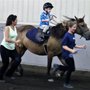 Photo of Legacy Saddlebreds