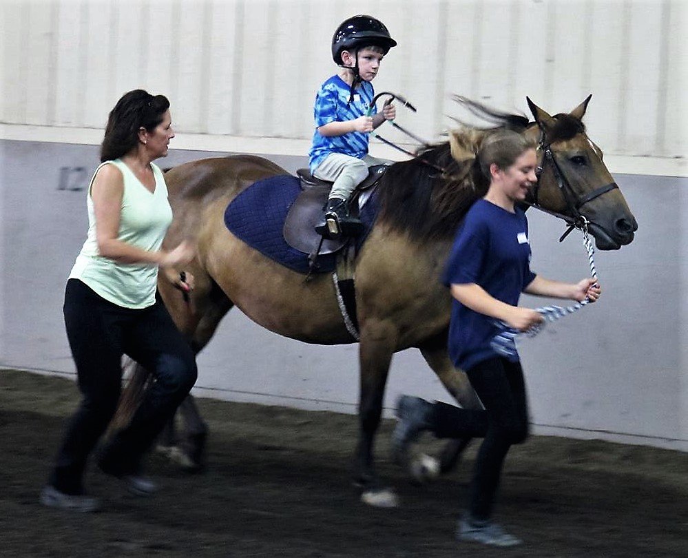 Legacy Saddlebreds - equestrian in Winston-Salem, NC