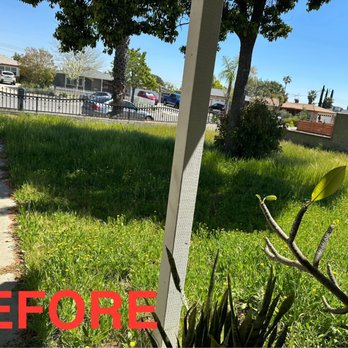 Green Terra - Gardeners Near Me