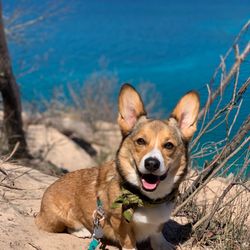 Sleeping Bear Dunes