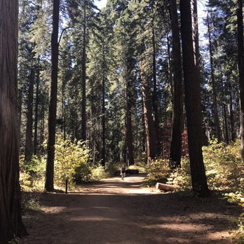 Calaveras Big Trees State Park - Parks Near Me - Arnold, California Calaveras Big Trees State Park - Parks Near Me - Arnold, California