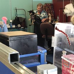 Dog Stylists - Leo & his favorite groomer Alice !!! I love this place!! Highly recommend :)