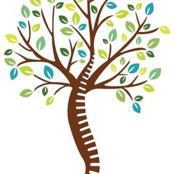 Renaissance Burton Chiropractic Spine & Injury Center