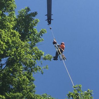 Pridemark Tree Services - Gutter Services Near Me