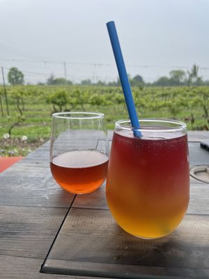 Traynor Family Vineyard by null