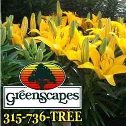 Greenscapes Garden Center & Landscape Co - Visit us for all of your gardening and landscaping needs!