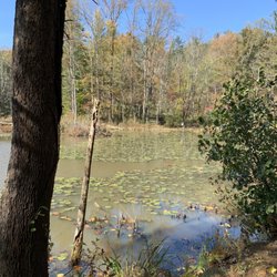Wahkeena Nature Preserve - Lake