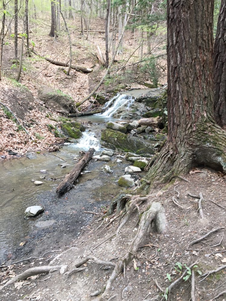 RENSSELAER TECHNOLOGY PARK Updated June 2024 100 Defreest Dr, Troy