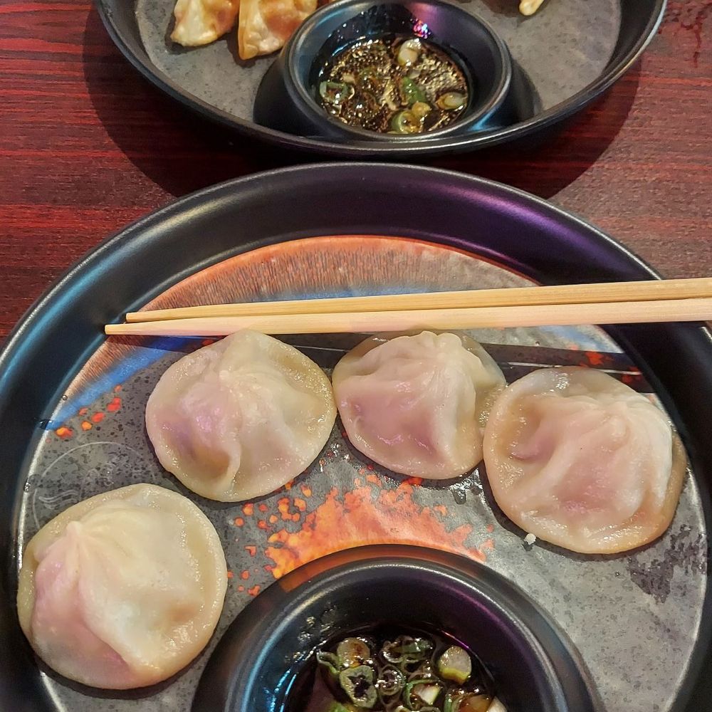 Good Chef Restaurant - Fried pork gyoza (top) and steamed dumplings (bottom) - Asian Fusion Near Me - Miami, Florida Good Chef Restaurant - Fried pork gyoza (top) and steamed dumplings (bottom) - Asian Fusion Near Me - Miami, Florida