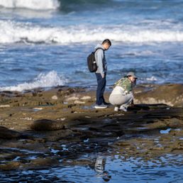 La Jolla Tide Pools La Jolla Tide Pools