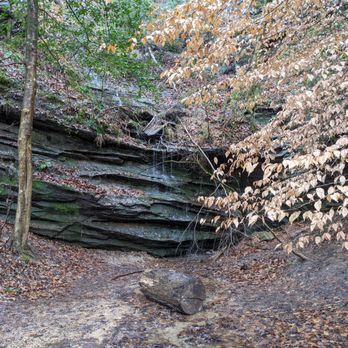Raven Rock State Park - Raven Rock Loop - Parks Near Me - Lillington, North Carolina Raven Rock State Park - Raven Rock Loop - Parks Near Me - Lillington, North Carolina