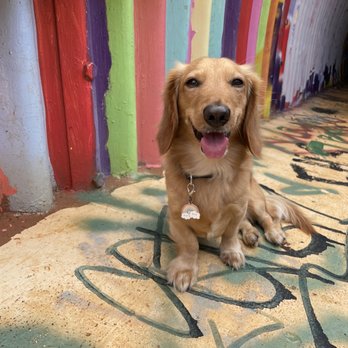Rainbow Tunnel - Public Art Near Me Rainbow Tunnel - Public Art Near Me