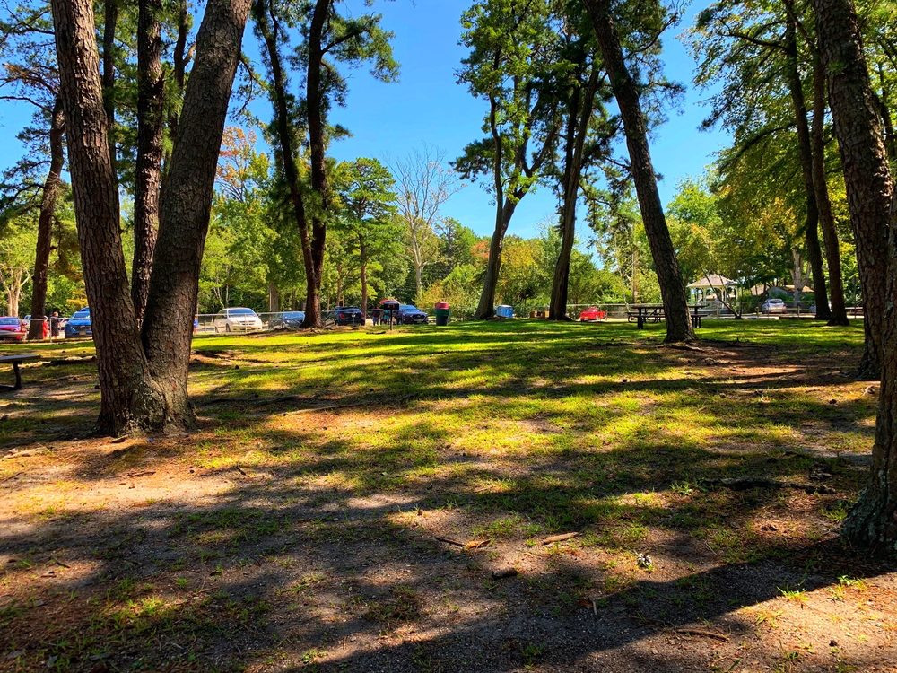 BIRCH GROVE PARK Updated June 2024 21 Photos 1700 Burton Ave