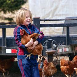 Rustic Road Farm - This girl caught a chicken
