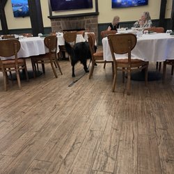 The Green Lounge