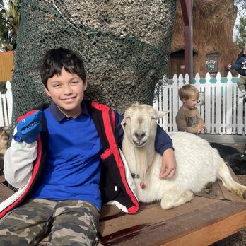 The Sensory Brain - Child with goat - Occupational Therapy Near Me - Pasadena, California The Sensory Brain - Child with goat - Occupational Therapy Near Me - Pasadena, California