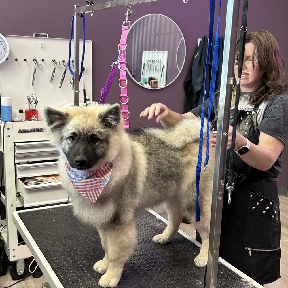 Sittin’ Pretty Pet Spa - Pet Groomers Near Me - Spokane, Washington Sittin’ Pretty Pet Spa - Pet Groomers Near Me - Spokane, Washington