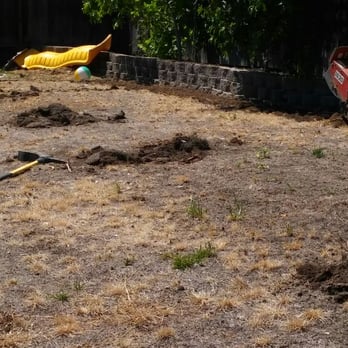 The Lawnmowerman - Before dead lawn all dirt. - Irrigation Near Me - San Jose, California The Lawnmowerman - Before dead lawn all dirt. - Irrigation Near Me - San Jose, California