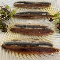 Quince Nudos - Anchoas