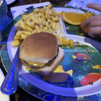 Aquarium Restaurant - 1/2 of a kids cheeseburger meal (my kids split it) - Seafood Near Me - Nashville, Tennessee Aquarium Restaurant - 1/2 of a kids cheeseburger meal (my kids split it) - Seafood Near Me - Nashville, Tennessee