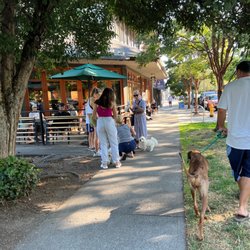 Starbucks - Dog reunion outside
