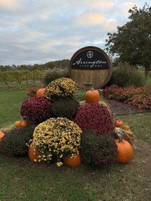 Arrington Vineyards by null