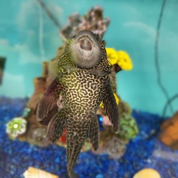 AHA! Hands-On Adventure Children's Museum - Children's Museums Near Me - Lancaster, Ohio
