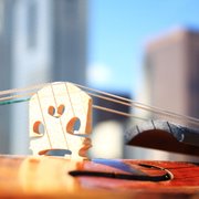 ALEX LOSKUTOV VIOLINS - Updated February 2026 - 27 Photos & 39