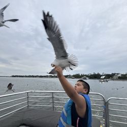The Sunny Lady Dolphin Cruise
