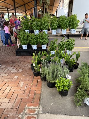 St. Paul Farmers' Market by null