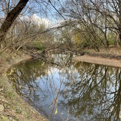 Rouge Park - Reflecting on the Rouge