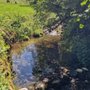 Photo of Geratser Wasserfall