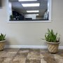 Photo of Pine Dental Health