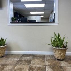 Pine Dental Health
