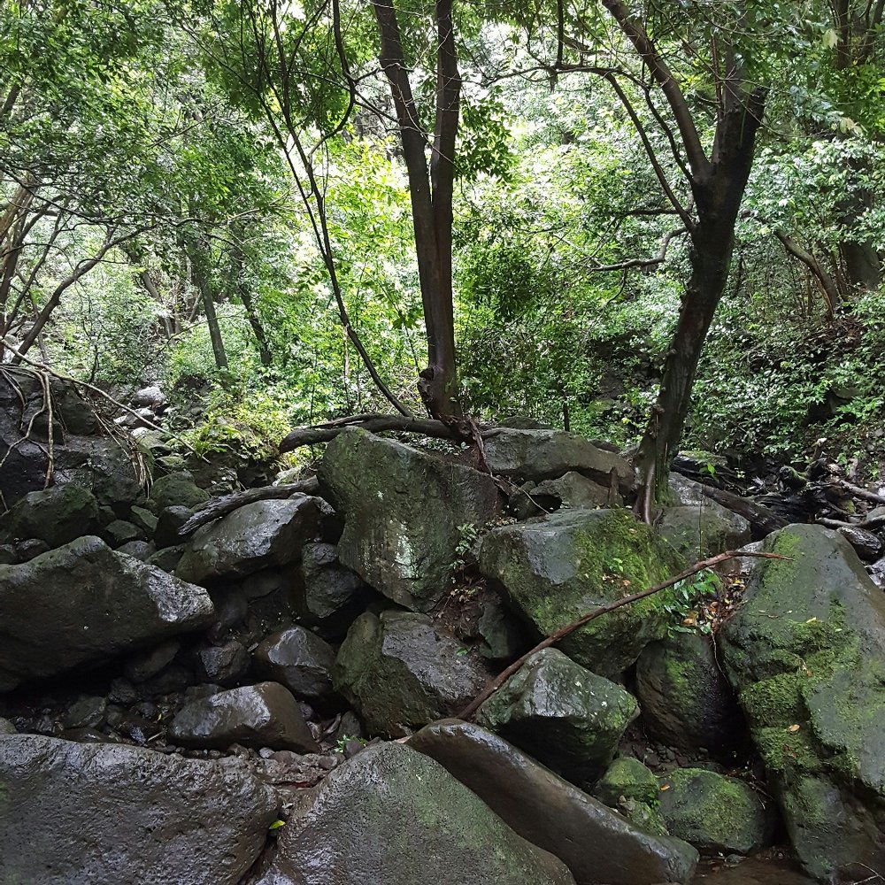 Lulumahu Falls - Hiking Near Me - Honolulu, Hawaii Lulumahu Falls - Hiking Near Me - Honolulu, Hawaii
