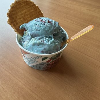 Gina's Gelato and Java - Birthday cake gelato - Gelato Near Me - Parma Heights, Ohio