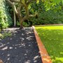Diego’s Garden Services