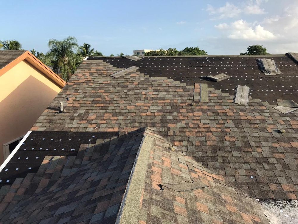 Slide of Roof Giants