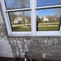 Photo of Window Buddy