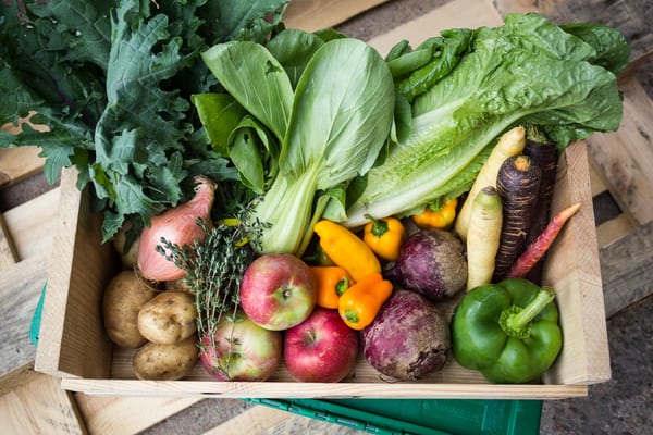 Boston Organics by null