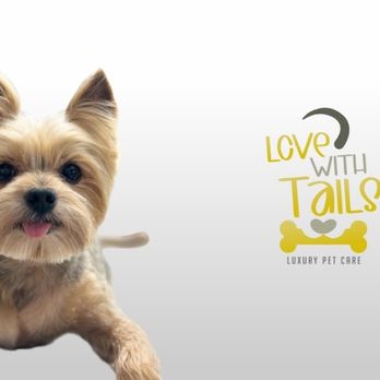 Love With Tails - Our job - Pet Groomers Near Me - Forney, Texas Love With Tails - Our job - Pet Groomers Near Me - Forney, Texas