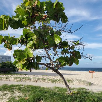 Von D. Mizell and Eula Johnson State Park - Parks Near Me - Dania, Florida