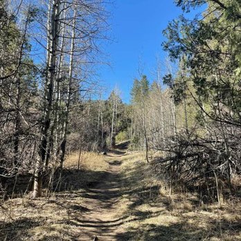 Lower Dadd Gulch - Hiking Near Me - Bellvue, Colorado